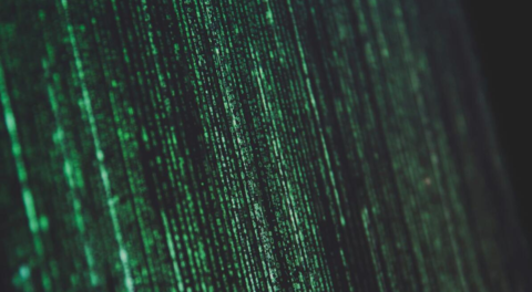 digBiz Podcast ep 14 | with Stephen Davies